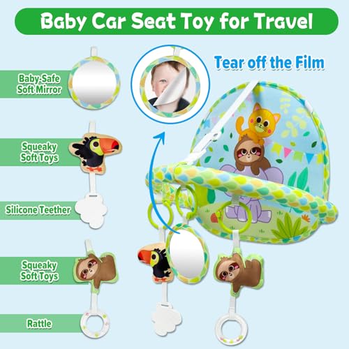 Dr.Rapeti Spielzeug für den Autositz und Autofahrt Baby mit Activity Spielzeug und Spiegel, leichtere Fahrt für Neugeborene