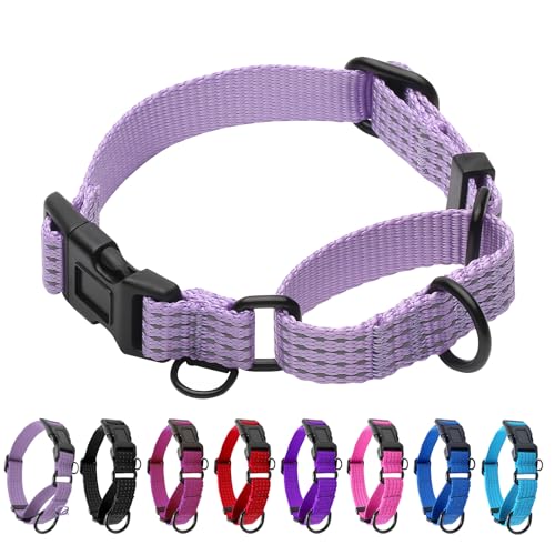 Image of Martingale Dog Collar, Reflective No Pull,Lavender, XS | Escape Proof without choking ,Training Collar with Quick Release Buckle, Adjustable Heavy Duty Nylon collars for S M L Dogs