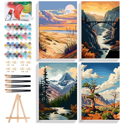 4 Pack National Park Paint by Numbers Kit for Adults