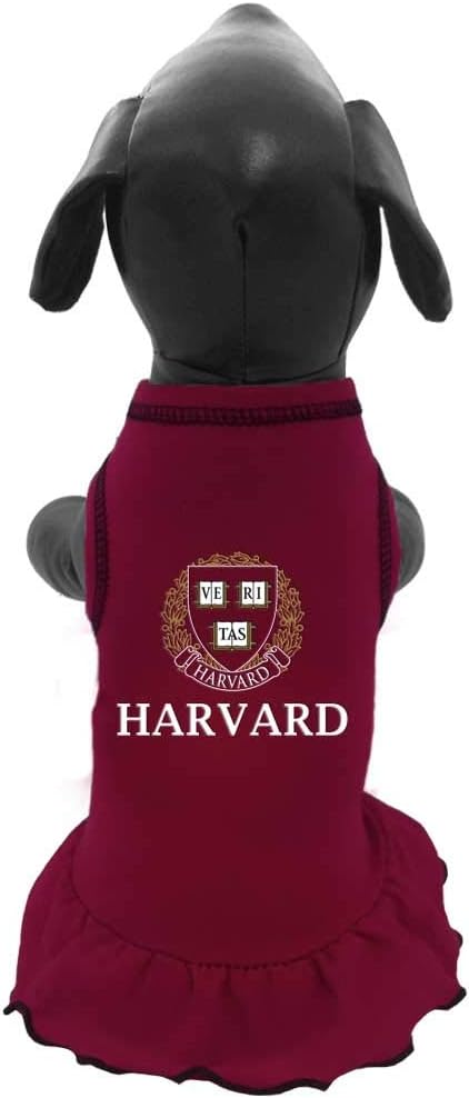 All Star Dogs NCAA Harvard Crimson University Cheerleader Dog Dress