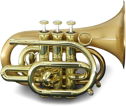 Professional Bb pocket trumpet CPT-3000-GLS-Bb-SLB, big gold brass bell, satin lacquer bell finish, ABS hard travel bag