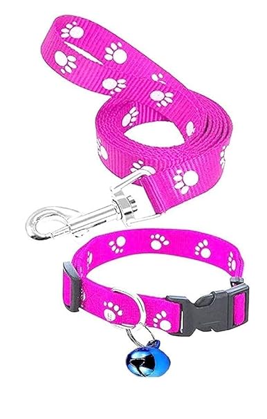 RvPaws Nylon Cute Paw Print Pet Dog Collar and Leash Set, Outdoor Walking Lead Small Puppy & Cat 10MM Collar Set for Puppies and Cats (Pink Color)