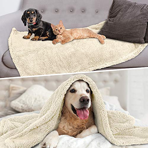 Petami Fluffy Waterproof Dog Blanket Fleece | Soft Warm Pet Fleece Throw For Medium Dogs And Cats | Fuzzy Furry Plush Sherpa Throw Furniture Protector Sofa Couch Bed (Beige Cream, 29X40) #TOP2