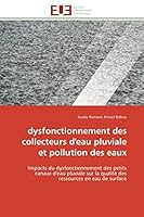 dysfonctionnement des collecteurs d'eau pluviale et pollution des eaux: Impacts du dysfonctionnement des petits canaux d'eau pluviale sur la qualité ... de surface (Omn.Univ.Europ.) 6131590354 Book Cover