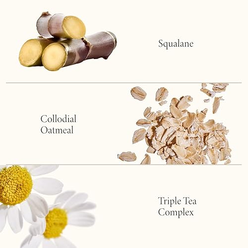 Miniatura 4 de SHANI DARDEN SKINCARE - Máscara facial nutritiva exclusiva, una mascarilla nutritiva de arcilla de bentonita para calmar el enrojecimiento y la