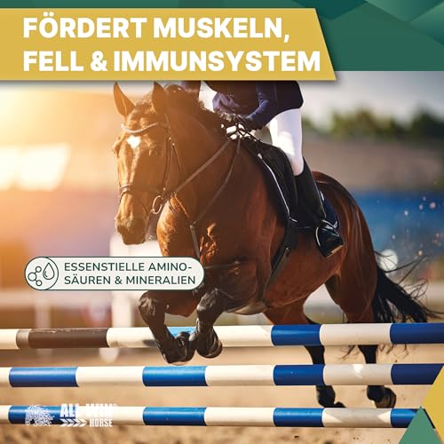 ALL-WIN Horse Hay Time 24/7 – 12 kg Strukturfutter für Pferde – Getreidefrei, Pferdefutter ohne Zuckerzusatz – Mit Timothee, Grünhafer & Luzerne – Staubfrei, magenfreundlich & rohfaserreich