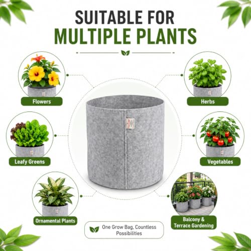 Image of Casa De Amor 400 GSM Geo Fabric Plant Grow Bag, Light Grey 10 x 10 Inch Pack of 5, Round Fabric Pots for Terrace, Balcony, Flowers & Vegetable Gardening