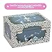 Jewelkeeper Girl's Musical Jewelry Storage Box with Twirling Fairy Blue and White Star Design, Swan Lake Tune