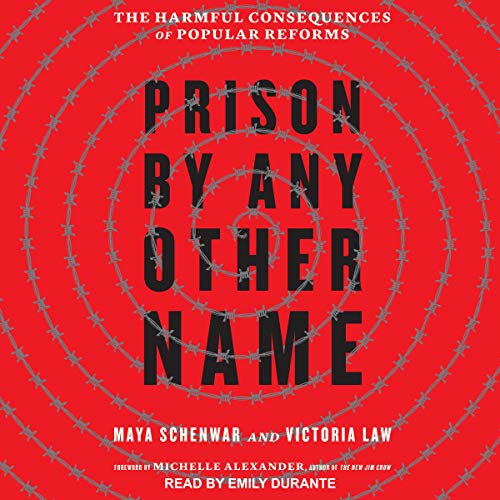 Prison by Any Other Name by Maya Schenwar, Victoria Law, Michelle Alexander - foreword episode artwork