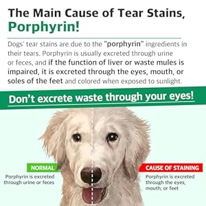   DoctorBy-Eyes-Care-Plus-Dog-tear-stain-Supplement-eye-drops-for-dogs-eye-health-support-with-Milk-Thistle-Lutein-Beta-Carotene-100-Soft-Chews