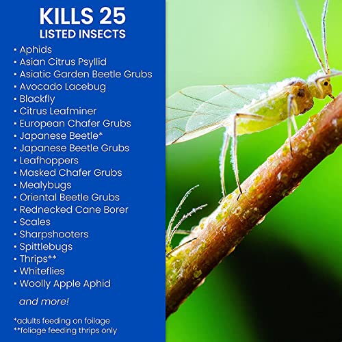 Bioadvanced Fruit, Citrus & Vegetable Insect Control For Edible Gardening Concentrate, 32 Oz With Bioadvanced Fruit & Citrus Tree, Concentrate, 32 Oz #TOP4