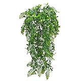 Características: Los helechos de Boston no solo le brindan un buen placer, sino que también no necesitan mantenimiento y son duraderos, nunca se desvanecen y nunca se caen, adecuados para cestas de plantas falsas decorativas para interiores o exteriores.