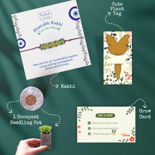 Image of Bombay Greens Plantable Rakhi for Brother Evil Eye