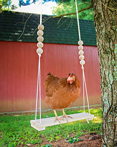 image for Backyard Barnyard Chicken Swing Toy for Coop HANDMADE in USA!!! Natura