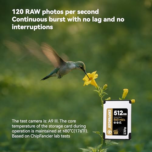 Image of 256GB CFexpress 4.0 Type A Card Up to 1750MB /s Read Speed & 1750MB /s Write Speed Type A Memory Card for RAW 4K /8K Video Recording Compatible with Sony Alpha Sony FX Cameras Dull Gold