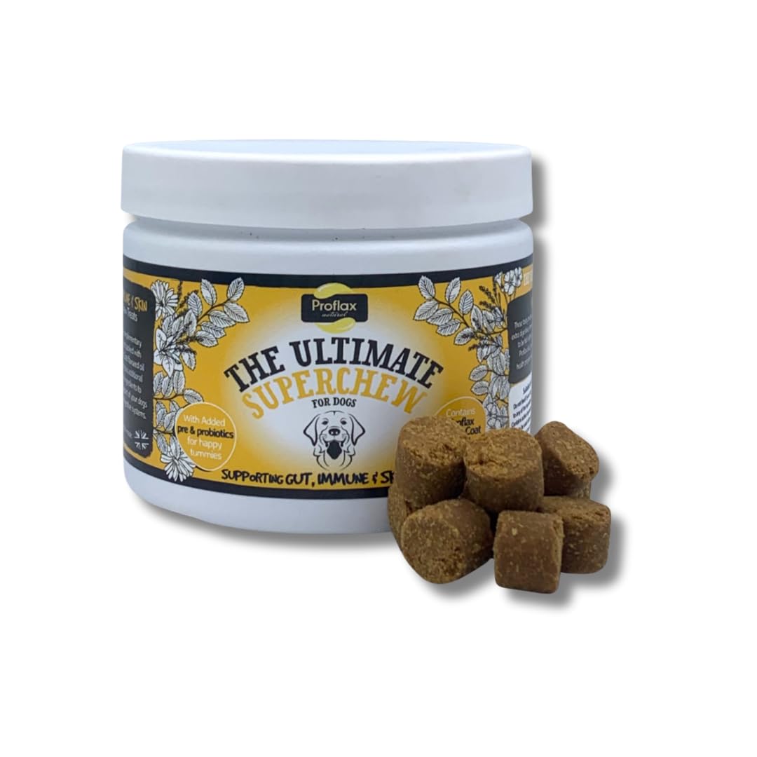 Proflax Skin, Gut & Immune Superchews for Dogs - Itch Relief, Digestion & Immune Health Functional Soft Chews - 240g - Image 2