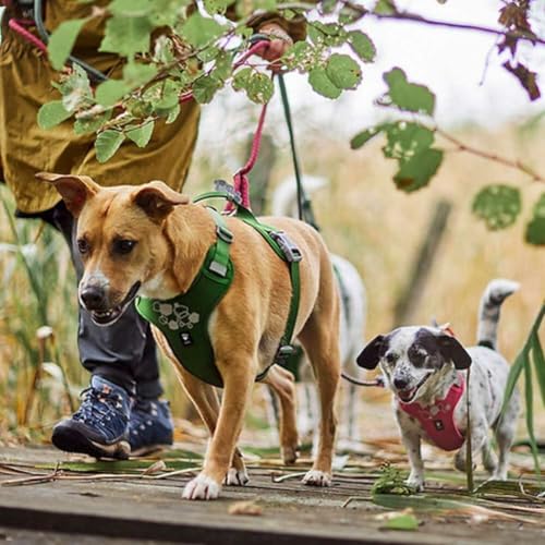 Hurtta Weekend Warrior - Pettorina Per Cani Ii Eco (Parsley, 45-60 Cm) - 6