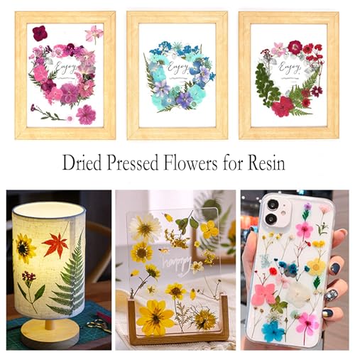 40 flores secas prensadas para resina y manualidades miniatura 2