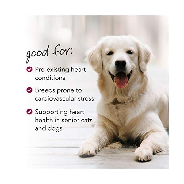 VetriScience-Laboratories-Cardio-Strength-90-Capsules-Supports-Blood-Flow-Immune-System-and-Energy-Levels-for-Dogs-and-Cats VETRISCIENCE - Cardio Strength, Cardiovascular and Circulatory Support Supplement for Dogs and Cats, 90 Capsules