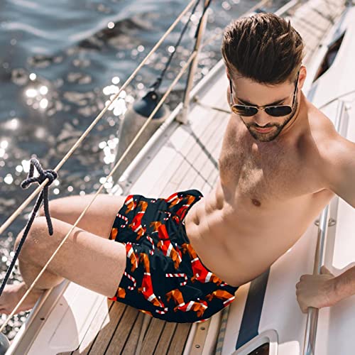 Short de plage teckel mignons HadHfun : le maillot léger et hydrophobe - 2