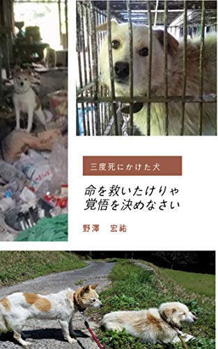 無料電子書籍 おすすめ 命を救いたけりゃ覚悟を決めなさい: 三度死にかけた犬 バイ