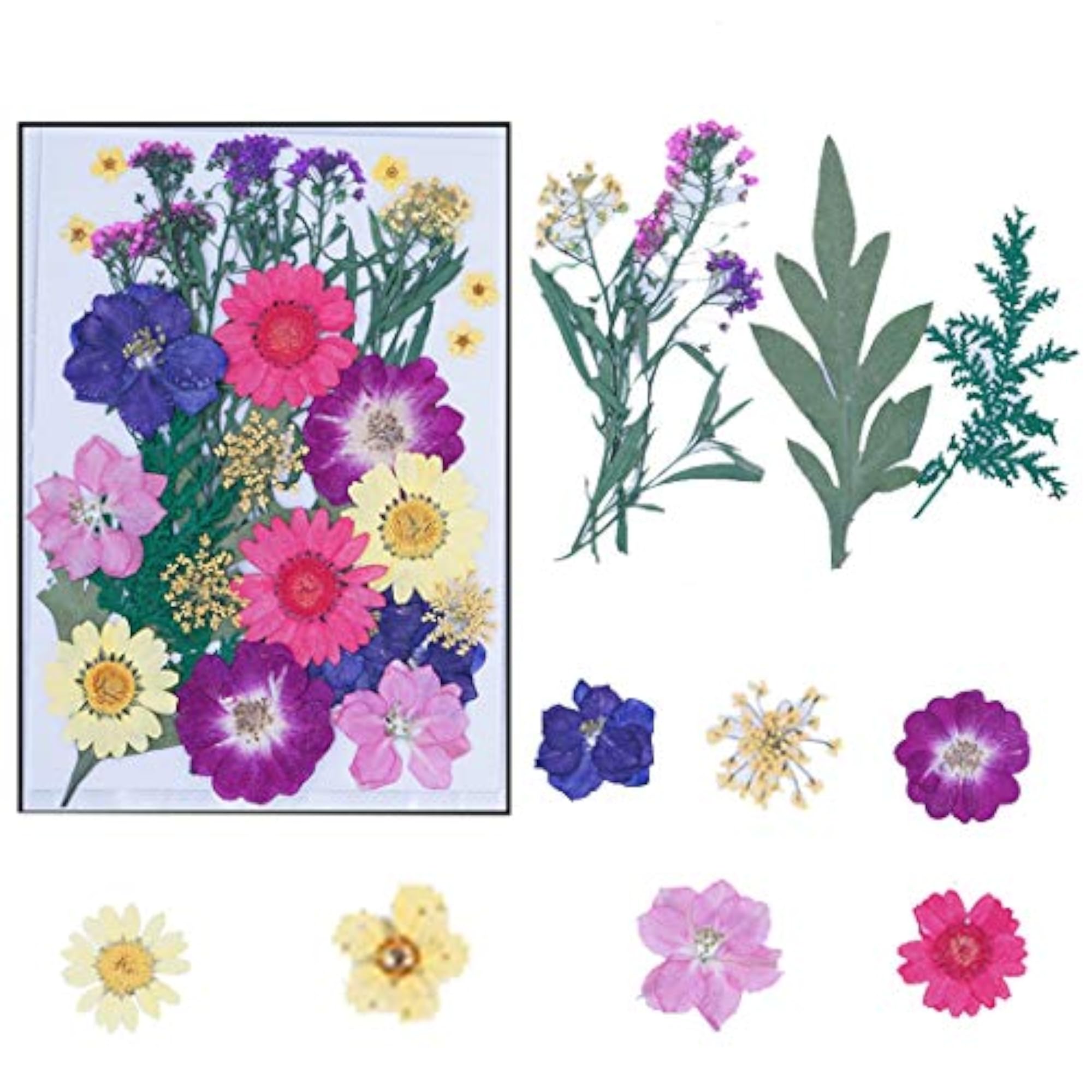 30PCS DIY Pressed Flowers Assorted for Crafts