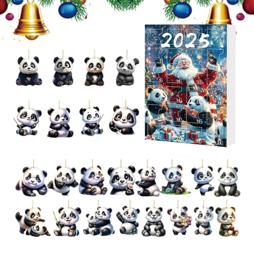 NX}XJEg_EJ_[A242Dp_`[J_[Ahxg2025 - 킢`[ z[fR[V qAlA}AA؁AOAAցB