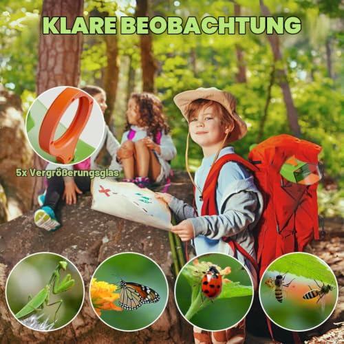 AMFUN Insektenfänger, Spinnenfänger, Insektenfalle Falle für Observable und Capture Wespen, Käfern, Schmetterlingen, Spinnen (Grün) – Ansicht 6