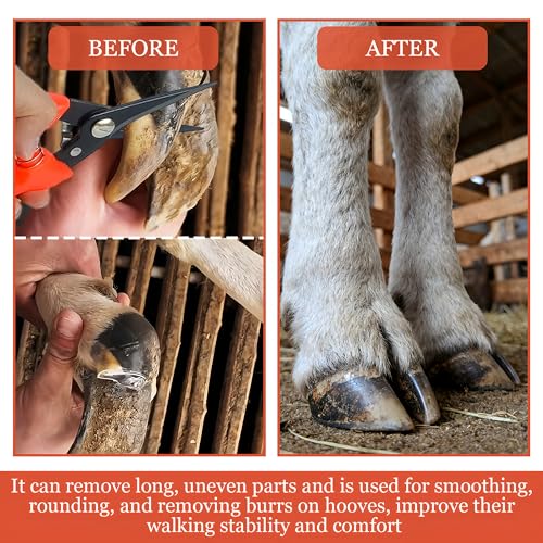 image for BADAO Goat Hoof Trimmers,Professional Hoof Care Trimming Shears Nail C