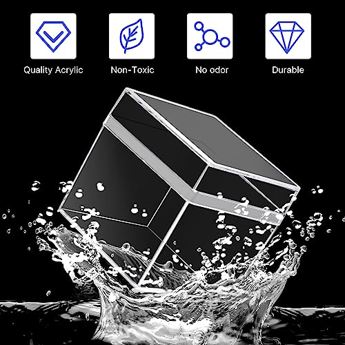 Contenedores, Kitchen Imagen adicional