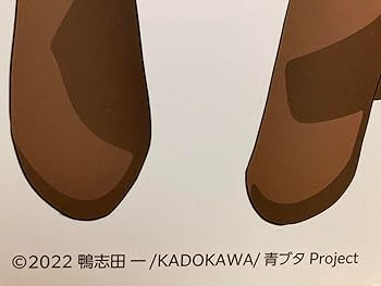 Amazon.co.jp: 桜島麻衣 等身大パネル 青春ブタ野郎はバニー