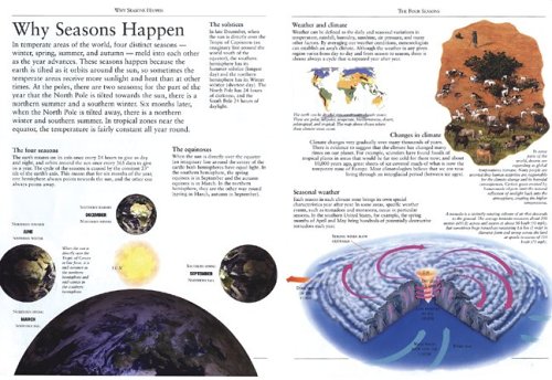 The Four Seasons: Uncovering Nature