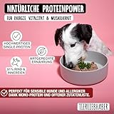 TIERLIEBHABER – Hundefutter Nass 400g 6X Rind mit Gemüse – Von Tierärzten entwickelt – Nassfutter Hund mit 91% Fleischanteil – Dog Food als Hundenassfutter 400g Dosen