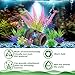Ameliade Fish Tank Accessories Decorations Set with Broken Barrel Cave & 11 Artificial Aquatic Plants - Betta Goldfish Hiding Spots for Aquariums, Small Bowl Ornament Decor