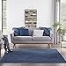 Nourison Essentials Indoor/Outdoor Midnight Blue 5' x Square Area Rug, Easy Cleaning, Non Shedding, Bed Room, Living Room, Dining Room, Backyard, Deck, Patio (5 Square)