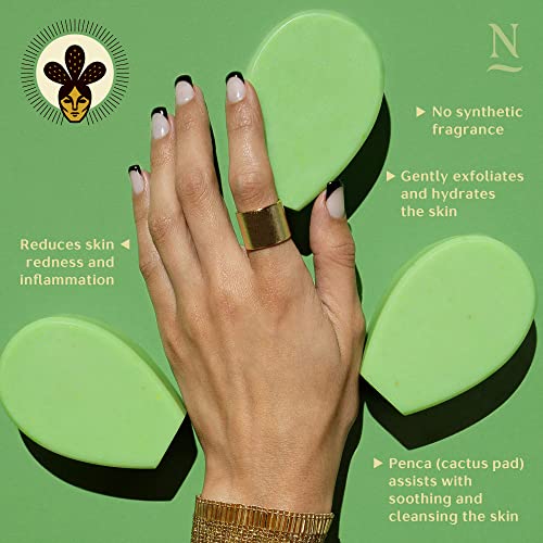 Nopalera Planta Futura Cactus Soap, Lemongrass & Prickly Pear Cactus, Artisan Bar Soap For Body And Face, Vegan, Cruelty-Free, Palm Oil Free, Natural Fragrance, Green, 4 Oz (Pack Of 1) - As Seen On Shark Tank #TOP4