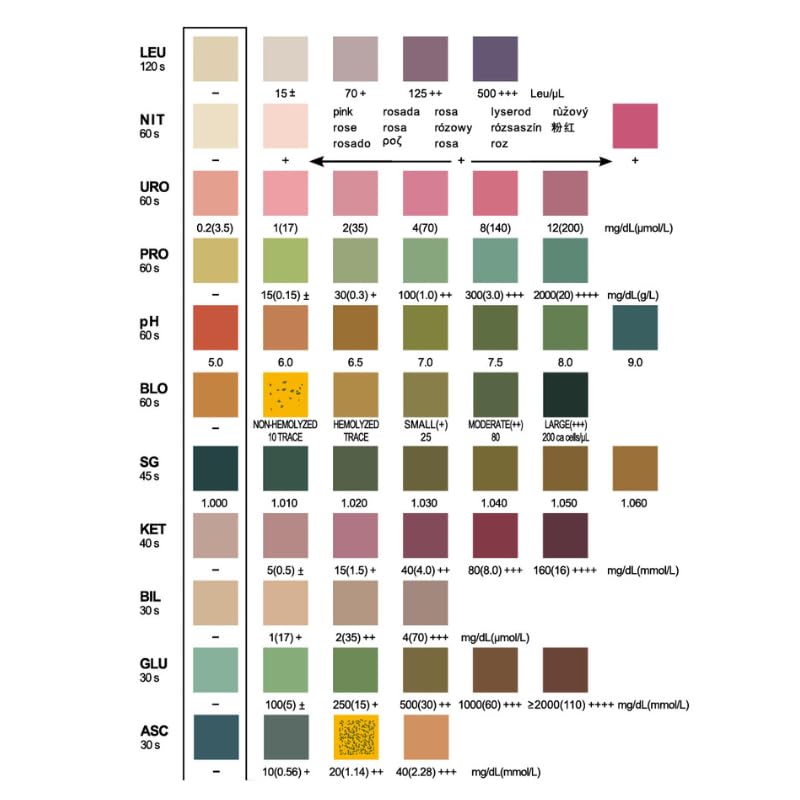 (10 Urinteststreifen) SCANPET APP Urinteststreifen für Hunde und Katz 11 Parameter Teststreifen Glukose pH Wert Keton Teststreifen für Harnwegsinfektionen bei Hunden und Katzen Einzeln verpackt