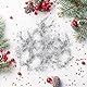 50g Glitzer Pulver zum Basteln Silber Glitzerpuder Pailletten Glitzer Pulver Basteln Glitzerpulver Glitter Sequin für Nägel Gesicht Make up Kartenbasteln Nagelkunst Dekoration