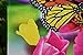 Tulip Zinnia Garden Flag Colorful Spring Summer Blooms Double Sided 12.5’’ X 18’’