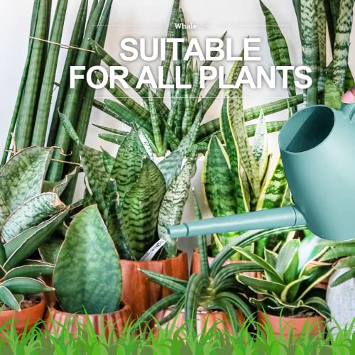 Image of Indoor House Plant Watering Can, Small Plastic Long Spout Water Pot 2.0L /67oz (Blue)