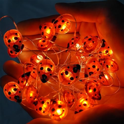 YeahBoom Marienkäfer Lichterkette,2M 20LED Käfer Leucht Batteriebetrieben,Marienkäfer Lichterkette Deko für Innen und Außen,Frühling Deko für Garten Blume Balkon Terrasse Party Weihnachten