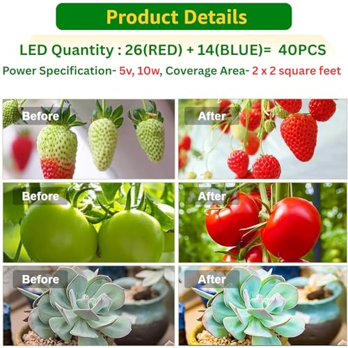 Image of ecofynd Bluma 2 Years Warranty Grow Light for Indoor Plants (Herbs, Leafy Plants & Flowering), Auto On /Off Automatic Timer, 2 Head 10 Watt LED Artificial Sunlight, 1.3M Wire Type C Connector (003)