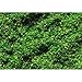 Faller 170702 Ground Cover Spring Grn Scenery and Accessories