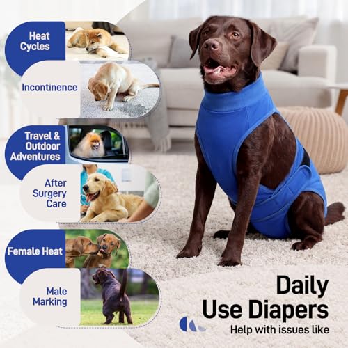 Image of BRKURLEG Female Dog Diapers with Suspender, Washable & Reusable, Blue M