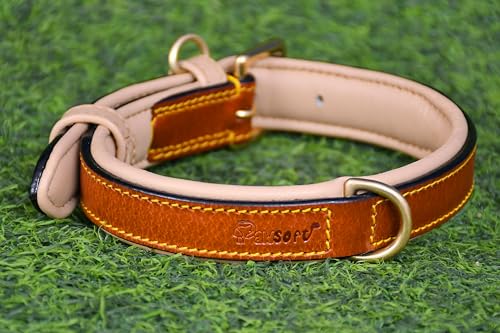 Hundehalsband Aus Echtleder - Grün, 7 Größen (29,2-35,6 Cm), 1,6 Cm Breit, Vernickelte Schnalle, Weich & Langlebig