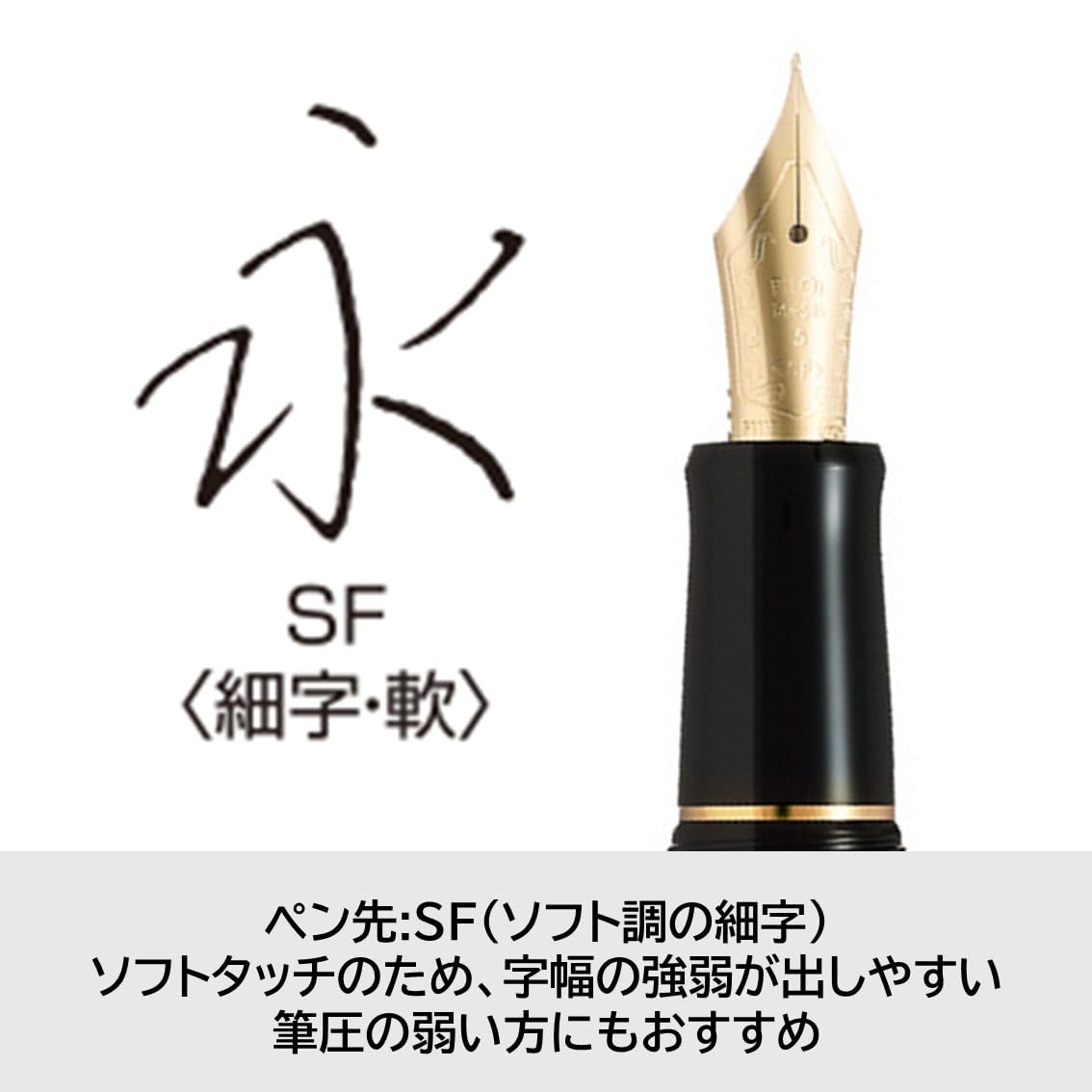 PILOT 万年筆 CUSTOM 74 SF 細字・軟 Amazon | PILOT 万年筆 カスタム74 SF ソフト・ファイン(ソフト調の