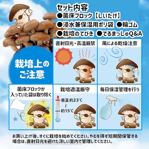 カネコ種苗 菌床キノコ栽培セット でるまっしゅ しいたけ 3枚目
