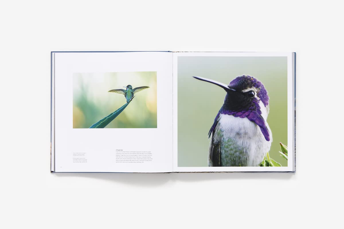 Bird Planet: A Photographic Journey