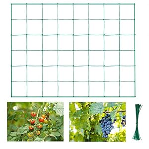 Halcyerdu Wijnstokondersteuningsnet, plantondersteuningsnet, Trellis-net voor klimplanten, wijnstokken en klimplanten, Grootte 1.8m x 3.6m