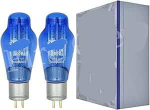 Lot De 2 Ventilateurs 4300B Compatibles WE300B, JJ300B, 300BS - Neufs, Jamais Utilisés